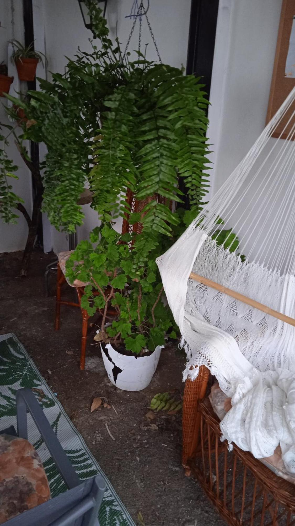 Casa Nieves De Mario Villa Santa Cruz de la Palma  Dış mekan fotoğraf
